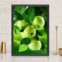재물 사과 청사과 보석십자수 클래스 비즈공예 캔버스타입 대형 도안 키트, 01. 35x50