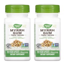 네이처스웨이 미르 검 트리 레진 몰약 550mg 비건 100정 2통, 1개, 기본