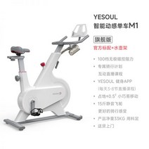 [지방분해] 홈트 스피닝자전거 실내 다이어트 운동기구 재활 스핀바이크 가정용, 플래그십 화이트