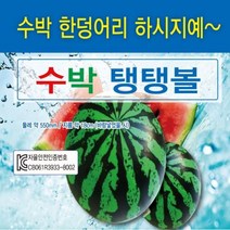 [신나라유통]수박탱탱볼 소프트재질 안전인증확인 공 점핑볼 물놀이용품, 단품
