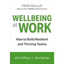 Wellbeing at Work, Gallup Press, English, 9781595622419