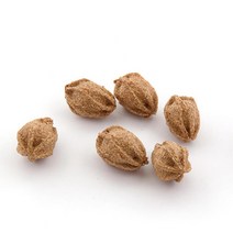 마따따비열매 고양이공 우울증완화 3개 좋아하는냄새 개박하 먹어도되는식물 캣닢스낵