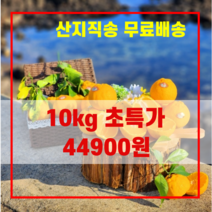제주 서귀포 일품 한라봉 3kg 5kg 10kg 선물용 가정용 명절 선물, 10kg 가정용 중대과(40~50과)
