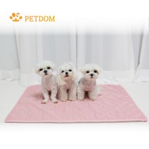 펫덤패드 친환경 빨아쓰는 중형 대형 배변패드, 1개, 1개