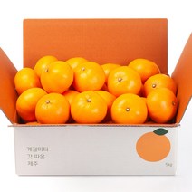 깨비농원 제주 천혜향, 1box, 천혜향 4.5kg 중과(19-27과)