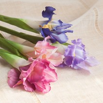 시스아이리스가지o 67cm 조화 FAIAFT, 퍼플