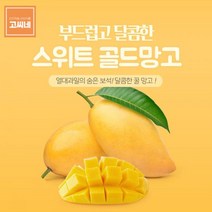 고씨네 특급 망고2kg 수입망고 망고종류 열대망고망고 제주애플망고 망고세일 페루애플망고 태국망고 제주망고 애플망고가격 제주도애플망고 필리핀망고 애플망고, 본상품, 쿠팡 본상품선택
