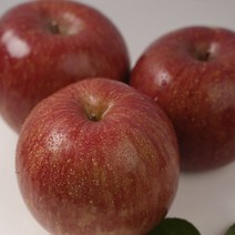 산지직송 고랭지 장수사과 5kg 13-14과 선물용