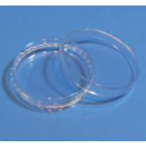 (사이언스마켓)페트리디쉬 60mm, 60m／m*15m／m