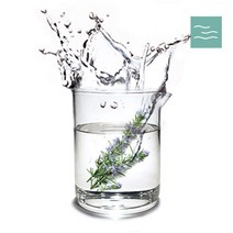 마타바 로즈마리 워터 (diy재료), 500ml, 1개