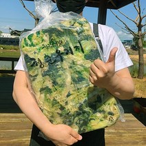 (생) 우거지 생지 20kg