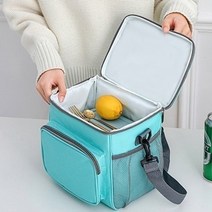 보냉백 쿨러백 캠핑쿨러 미니아이스박스 보온보냉가방 미니보냉가방 쿨링백, 민트그린