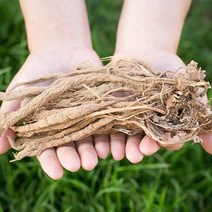국산 한속단 200g