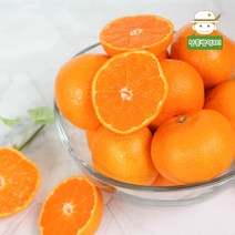 제주에서 온 새콤달콤 노지감귤 3kg, 감귤(대) 3kg