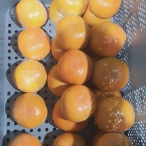 창원 단감 2kg 가정용 소과 12~16과내외, 코코제이슨 1, 코코제이슨 본상품선택