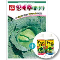 대박나 양배추(200립)+대유 물푸레 1호 세트-수경재배용 양액비료