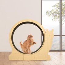 강아지 수중 런닝머신 애완 동물 고양이 러닝 휠 실내 트레드밀 운동 체중 감량 걷기 피트니스 장난감 스크루 드라이버 장갑 조용한 개 등반, L 116.5x37.5x107cm, 없음