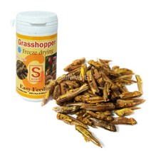 에스웜 동결건조 벼메뚜기 11g/햄스터/고슴도치/새, 1개