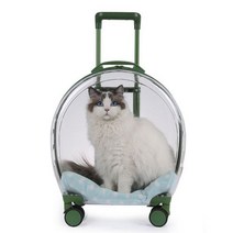 애완 동물 트롤리 케이스 바퀴 내구성 애완 동물 캐리어 통기성 운송 가방과 투명 다기능 휴대용 배낭, WHITE_L 33cm 27cm 42cm