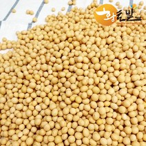 [황토밭푸드] 22년산 국내산 100% 콩나물콩 1kg, 1개, 1개