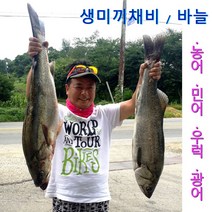 [바다의신] 생미끼채비 바늘 외수질 외줄 (어초 선상 우럭 농어 광어 민어), 생미끼채비(3개입)투명
