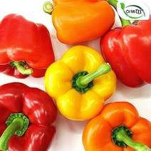 이베따 [이베따] 파프리카 1.5kg(실속형), 1개