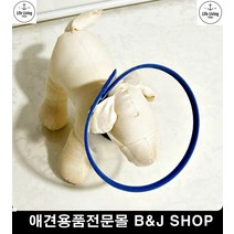 넥카라 투명카라 반려동물목보호대 강아지꼬깔 강아지경추디스크 강아지캡 (M사이즈), 1개, 낱개
