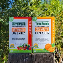 (당일) 미국 테라브레스 무설탕 마우스캔디 100개 2종 택1, 1.TartBerry