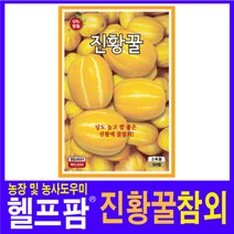 헬프팜 진황꿀참외 500립 참외씨 씨앗 종자 KS종묘