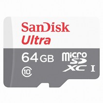 Sandisk micro SD Ultra 2017 Gen2 (64GB) microSD, 선택없음