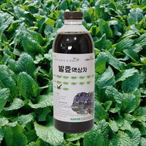 자연미가 곰보배추 효소액 1000mlx1병 /ss 자연숙성 발효액100%, 1000ml x1병
