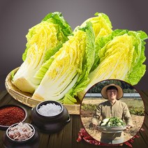 [참다올] [예약배송] [전라도광주김치] 절임배추20kg (7-8포기), 발송일 선택:12월01일 발송_12월02일(목)도착예정