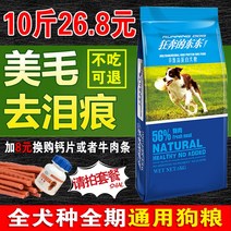 강아지 사료 5KG10 근 테디 골든 리트리버 시베리안 허스키 사모예드 빅미들 소형 성견 유견 웰시 코기 2268446981, 6개 월 이상