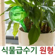 식물 급수기 원형 화분 화단 물주기 볼 원예 영양제, 급수기원형-그린-대