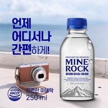 물처럼 마시는 미네랄워터 미네락워터300 청정 암반수 필수미네랄 칼슘 마그네슘 칼륨 생수, 250ml, 60개