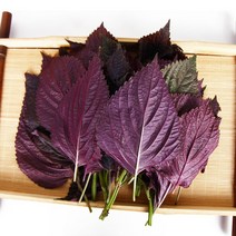 유기농 자소엽 차조기 차즈기 자소잎 생잎 자소엽건초 분말 티백차, 엄자왕생식환 1병