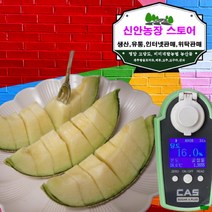 메론 머스크 고당도 멜론 고당도과일 과일 명절 선물세트, 1박스, 8kg(4과)로얄