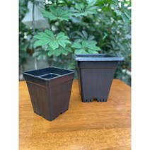 성진 롱사각 포트 5호 6호) 화분 플라스틱 화분 분갈이 화분 사각노지재배화분 사각6구연결트레이, 연결 트레이 6구