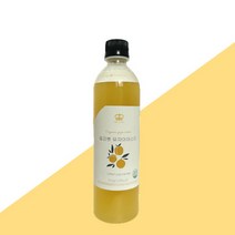 릴리벳 유자 아이스티 베이스 550g, 1개, 1개입