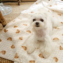 인견 강아지 쿨매트 여름 블랭킷, 당근화이트