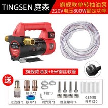 전동 펌프 Tingsen 독일 12v24v220v 기계 전기 디젤 소형 펌핑 범용, 800w(펌핑 속도의 2배) 220v 단일 + 6