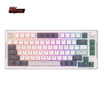 RK H81 로열 클러지 가스켓 구조 트라이 모드 메카닉 키보드 81 키 80% RGB 백라이트 2.4G 무선 블루투스 게이머 키보드, Light gray, Blue switch, 텐키리스, 01 Skycyan Switch