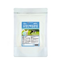 대용량 유청단백질 프로틴 파우더 보충제, 1팩, 500g