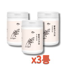 발효구기자 파우더 가루 김치유산균 한국인유산균 국내산 플란타 베타인 티아민 100g 3통