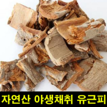 지앤제이 고씨네 자연산유근피500g 느릅나무 자연산유근피 환, one color, free