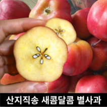 [국내산/국산] 아삭아삭 고당도 별사과 1kg / 새콤달콤 맛있는 미니사과 별 사과 사과별 미니사과. 산지직송 꿀사과 미니별사과 미니 새콤달콤 별모양 별모양사과