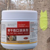 식물 나무 상처 치료 소나무 도포제 비료 톱신패스트, A(500g)