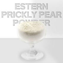 열린약초 국내산 제주도 천년초 분말 가루 손바닥 선인장, 300g, 2개