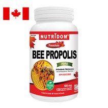캐나다 뉴트리돔 비 프로폴리스 Bee Propolis 500mg 120캡슐