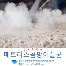 러그매트곰팡이청소 롤카페트곰팡이청소 매트곰팡이청소 매트리스곰팡이청소 메트리스곰팡이청소 소파곰팡이청소 쇼파곰팡이청소 바닥카페트곰팡이청소